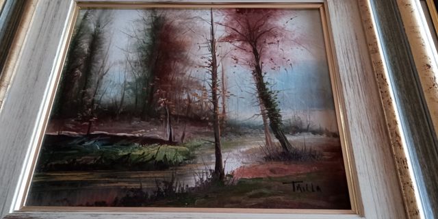 CUADROS DEL PINTOR FRANCISCO TRILLO