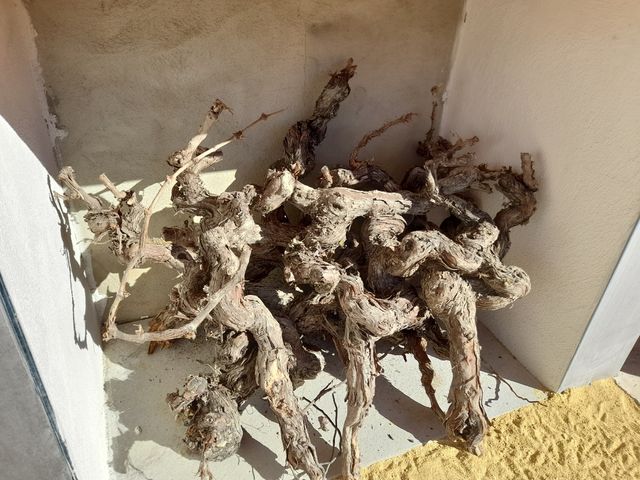 viti per la decorazione