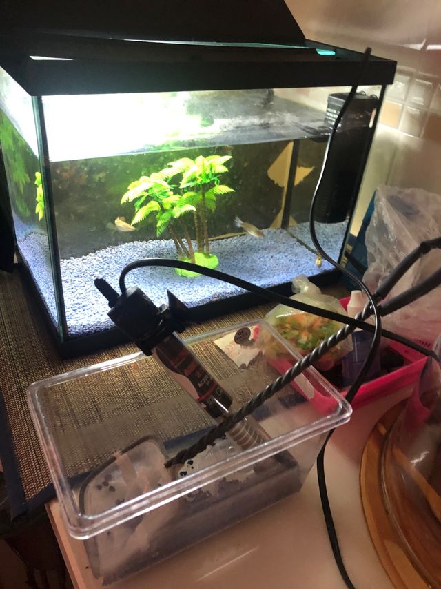 PECERA 25 litros sin filtro Medida 38cm