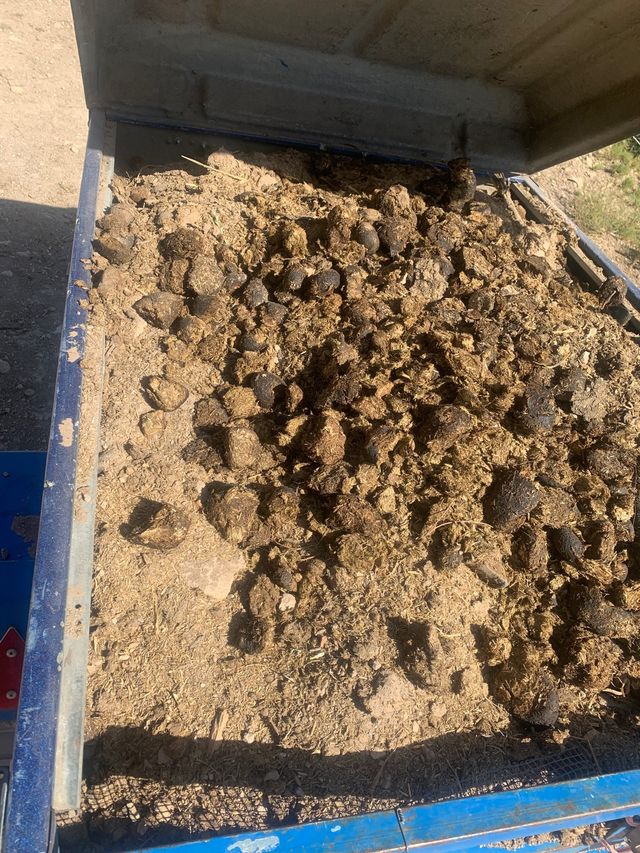 Letame equino puro e stagionato