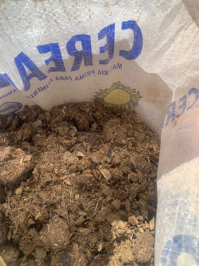 Letame equino puro e stagionato