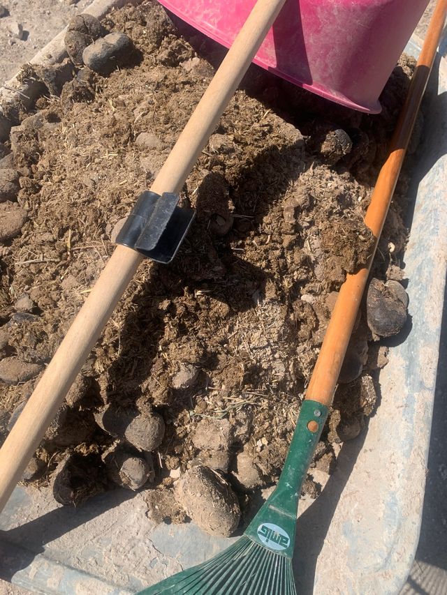 Letame equino puro e stagionato