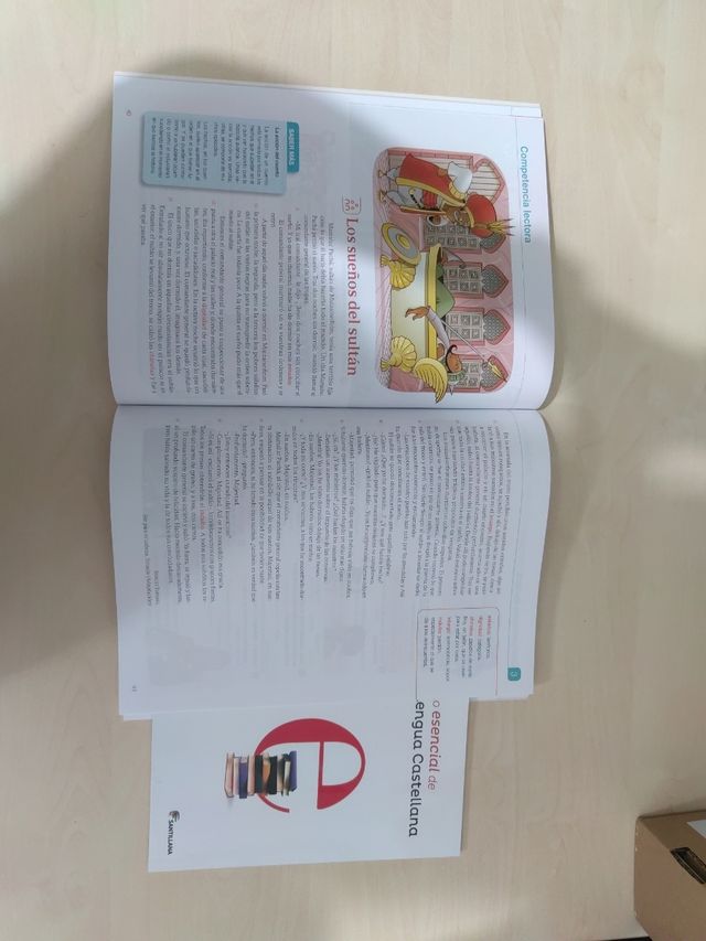 6 PRIMARIA LIBROS LENGUA CASTELLANA SABER HACER