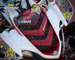 YAMAHA RAPTOR 660 DESPIECE