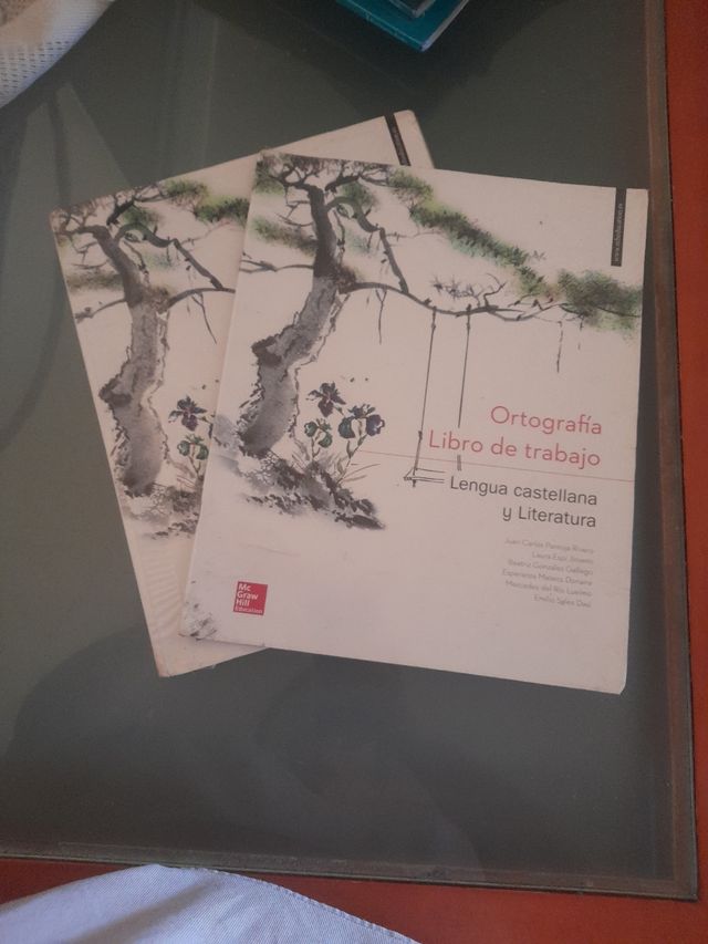 Lengua Castellana y Literatura 2°ESO