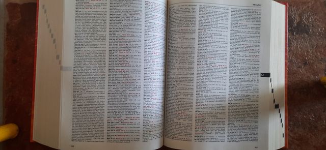 diccionario alemán Wahrig