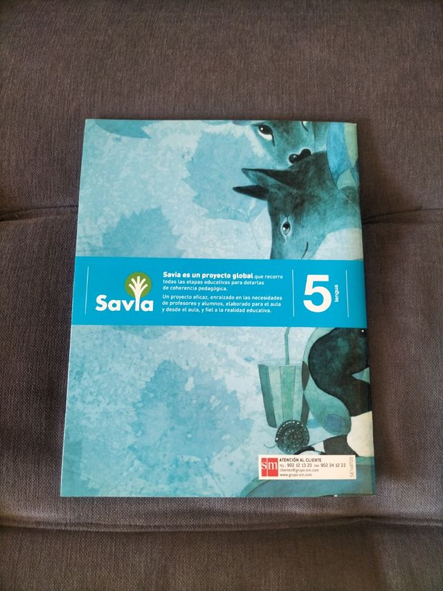 Lengua EVALUACIÓN 5 PRIMARIA SM