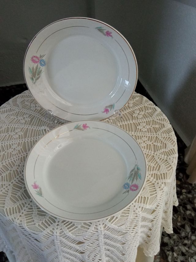 cinco platos de Loza 23 cm
