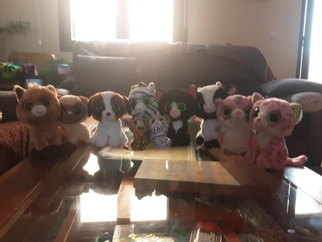 peluches pequeños para tu habitación.