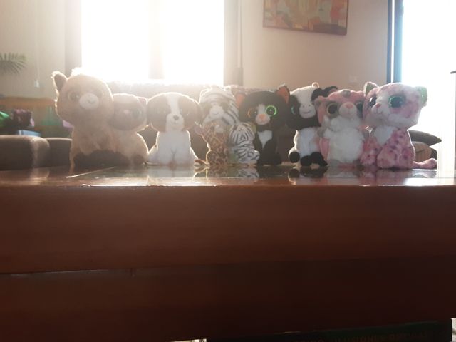 peluches pequeños para tu habitación.