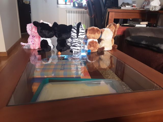 peluches pequeños para tu habitación.