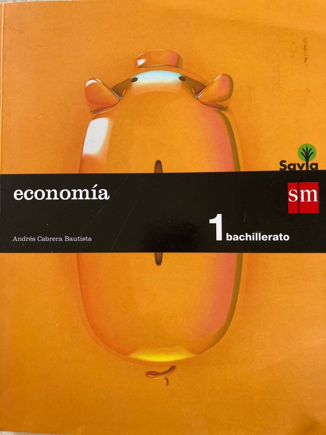 1 Baccalaureato - Libro di economia