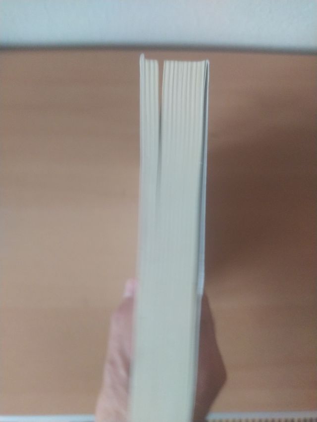 La Ciudad Conquistada de Jordi Borja