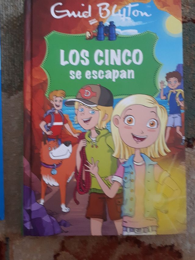 lote libros Los cinco