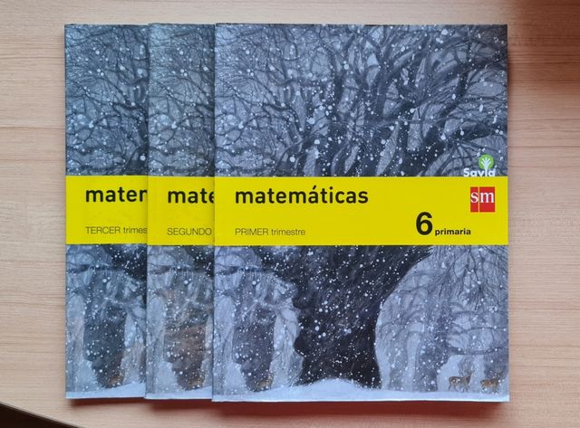 Libros de Matemáticas, 6°Primaria Savia SM