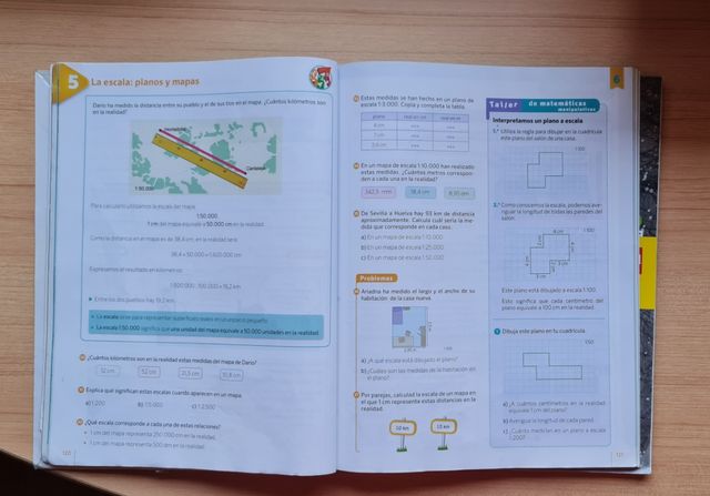 Libros de Matemáticas, 6°Primaria Savia SM