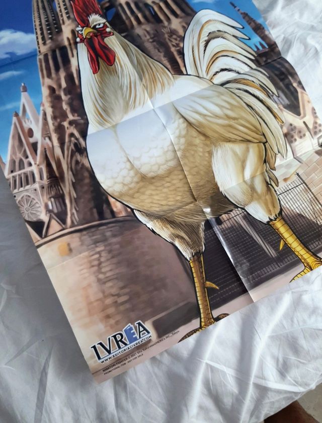 Poster Rooster Fighter