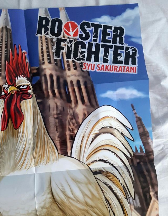 Poster Rooster Fighter