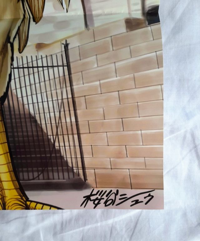 Poster Rooster Fighter