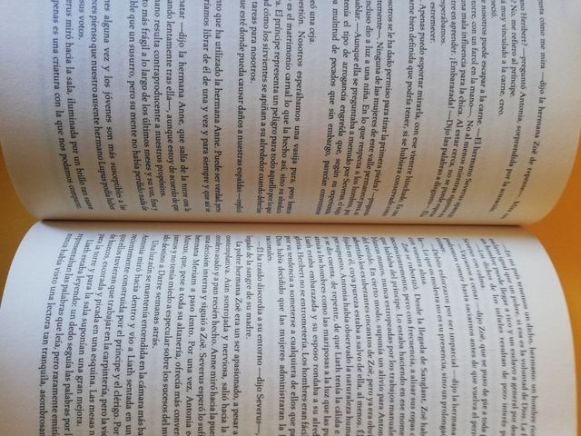 Libro "La piedra Ardiente"