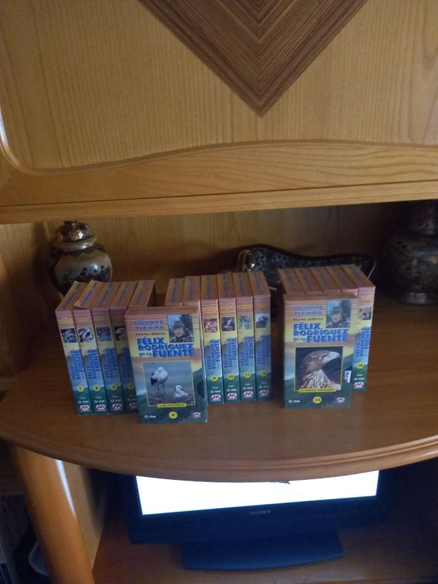 El hombre y la tierra