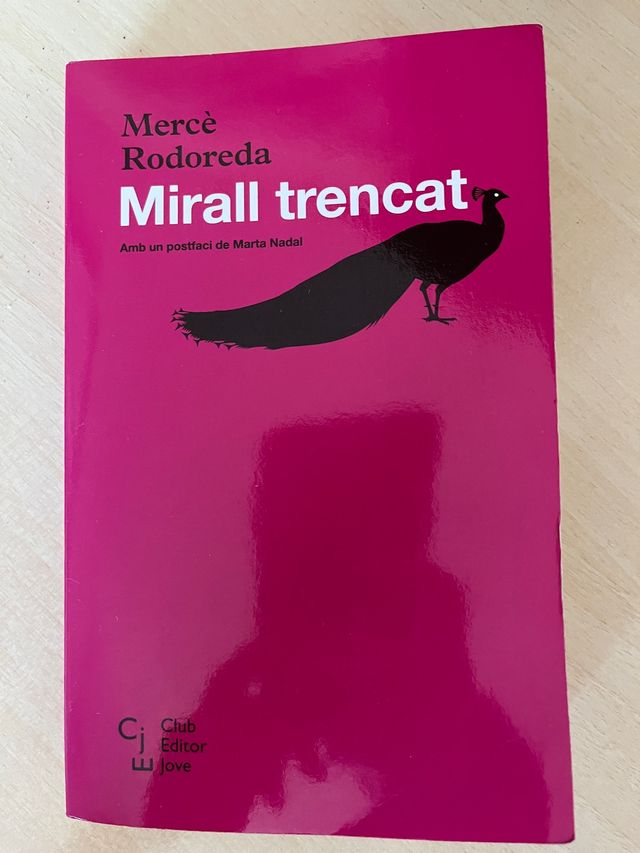 Mirall trencat