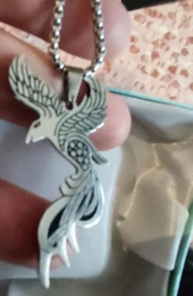 Ave Fénix nuevo diseño