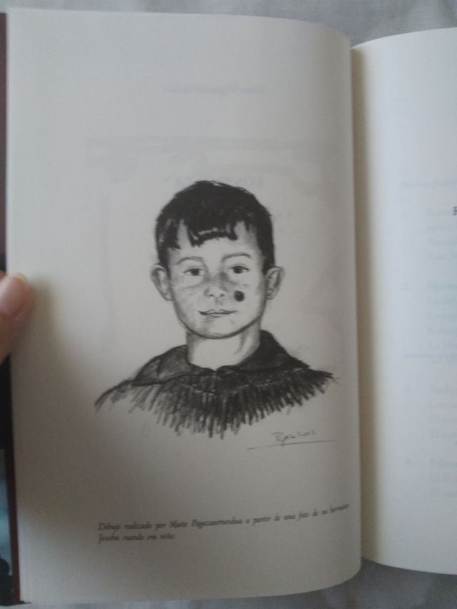 Los Pagaza. Historia de una familia vasca. 