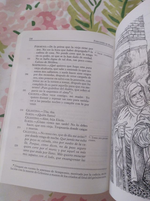la Celestina