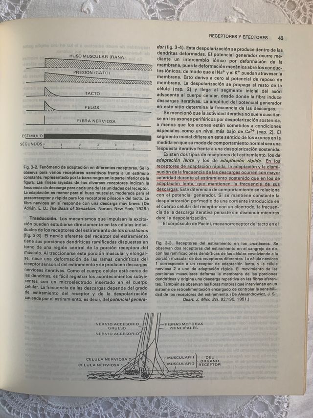 Fisiología. Selkurt. Editorial El Ateneo.