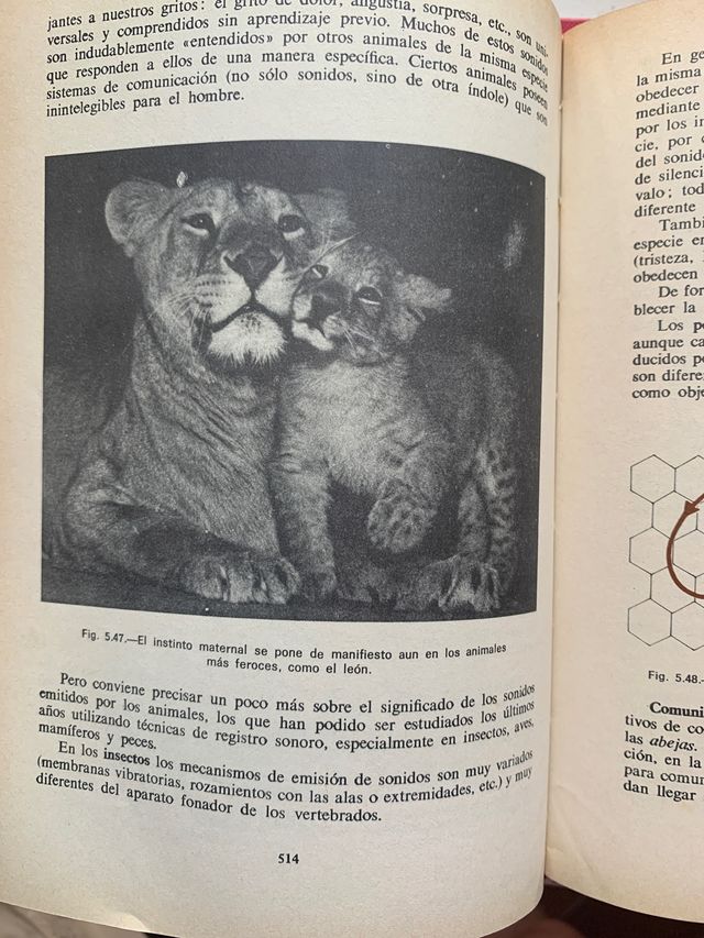 Biologia COU. Editorial ECIR