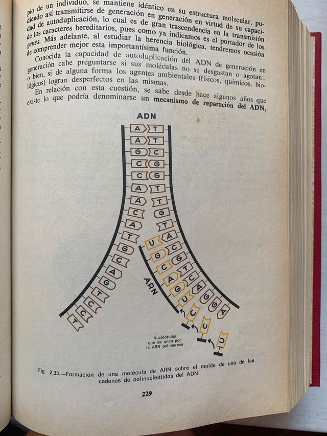 Biologia COU. Editorial ECIR
