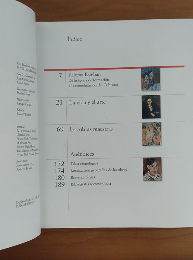 5 libros de pintores: Picasso, Dalí, da Vinci...