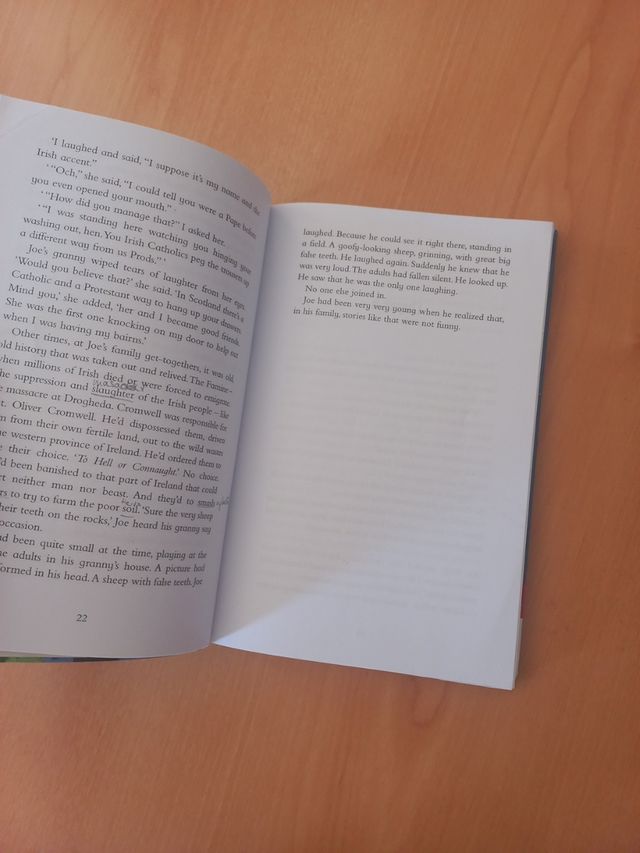 Libro lectura inglés Divided City