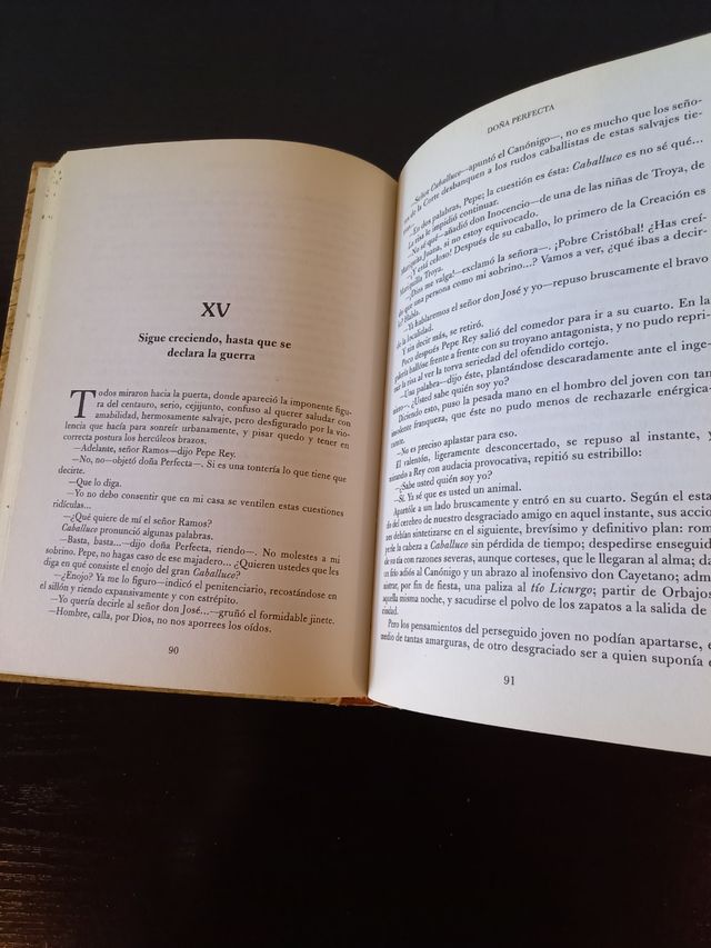 LIBRO DOÑA PERFECTA