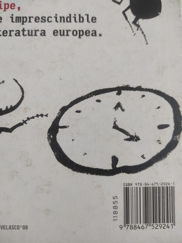 Libro los escarabajos vuelan al atardecer