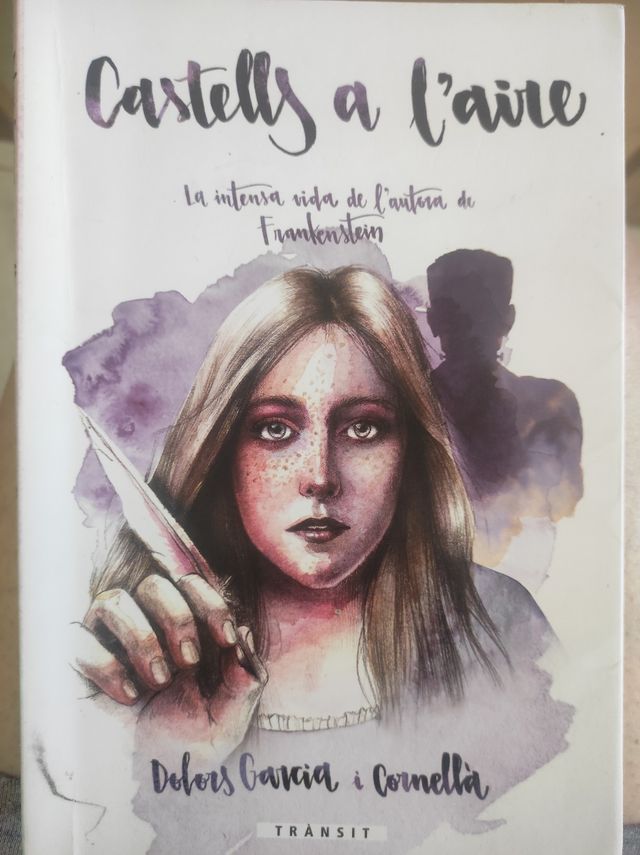 Llibre Castells a l'aire