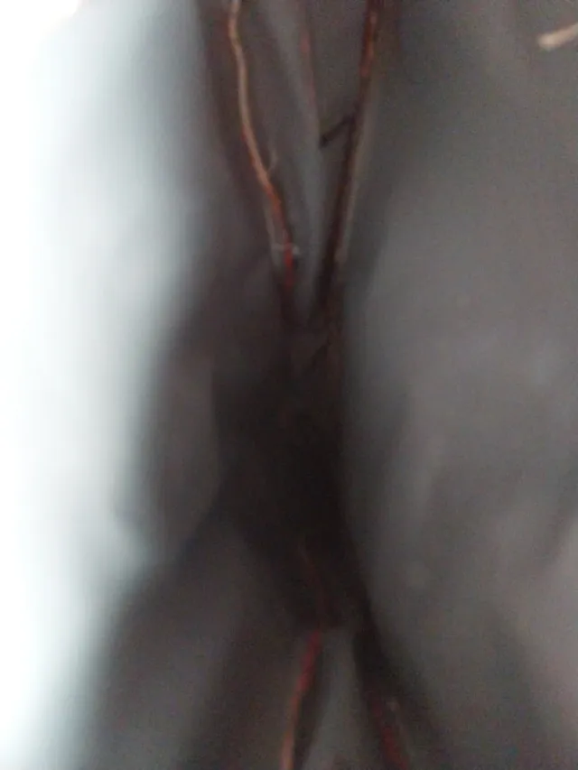 funda de guitarra de más de 40 años