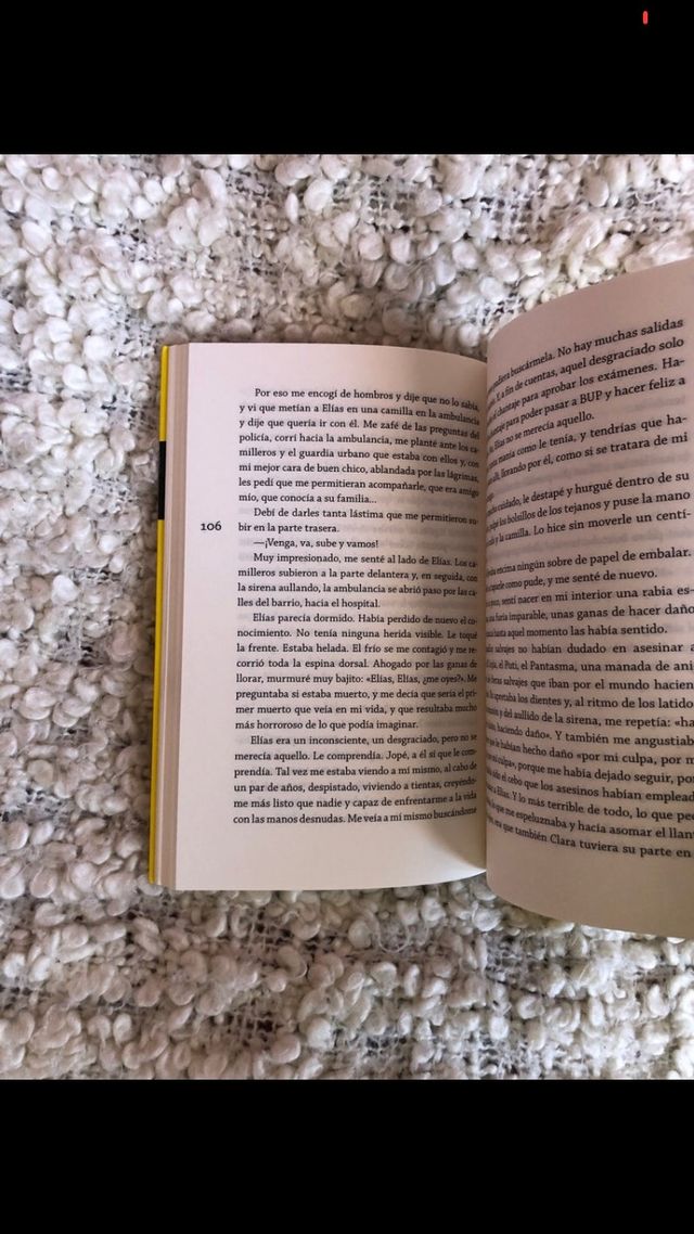 No Pidas Sardina Fuera De Temporada