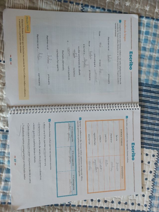 Tecelingua. Caderno do alumnado