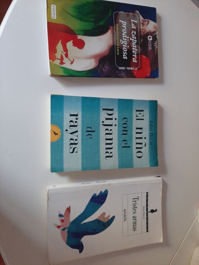 Libros lectura de la ESO