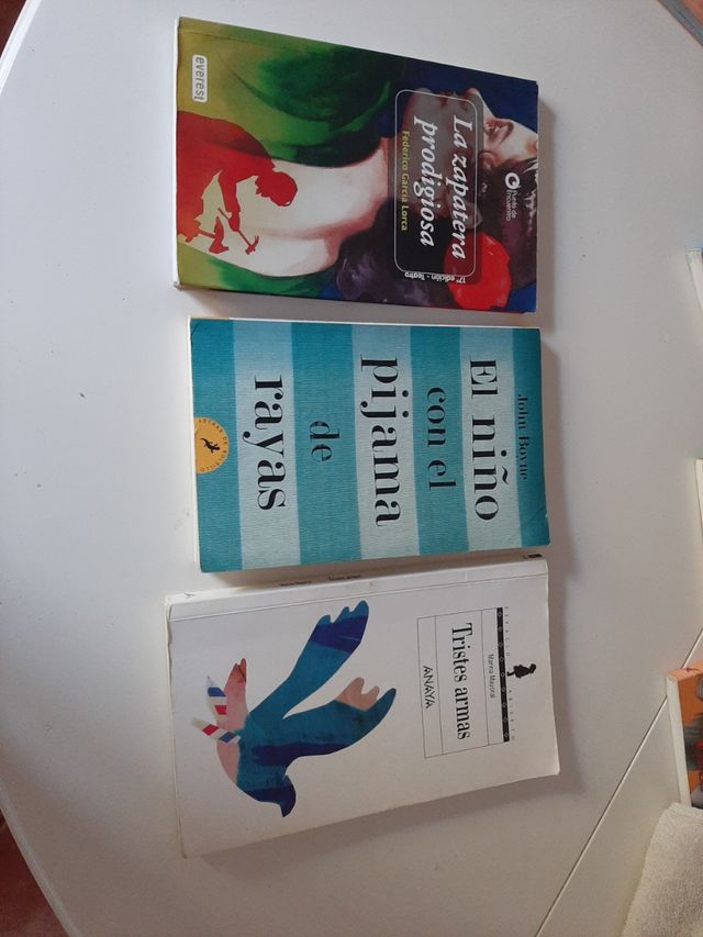Libros lectura de la ESO