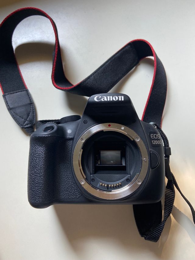 Cámara digital canon con funda 