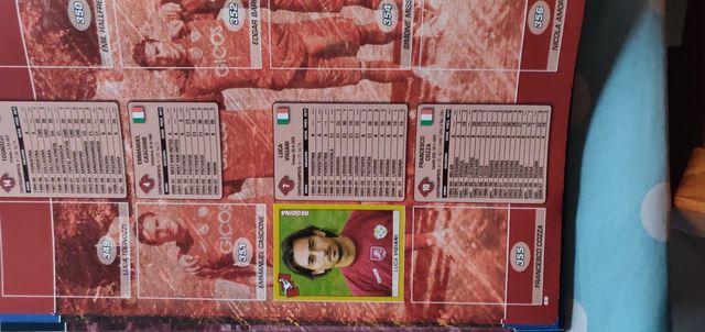 ALBUM CALCIATORI PANINI 2007-08