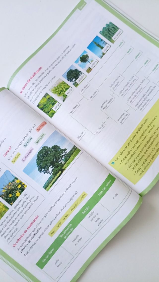 Proxecto Zoom 3°primaria