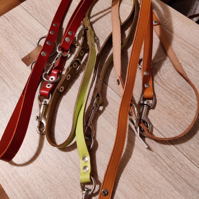 correas dobles para perros de piel