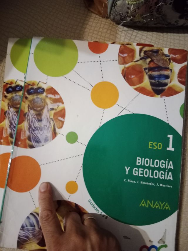 1 eso anaya