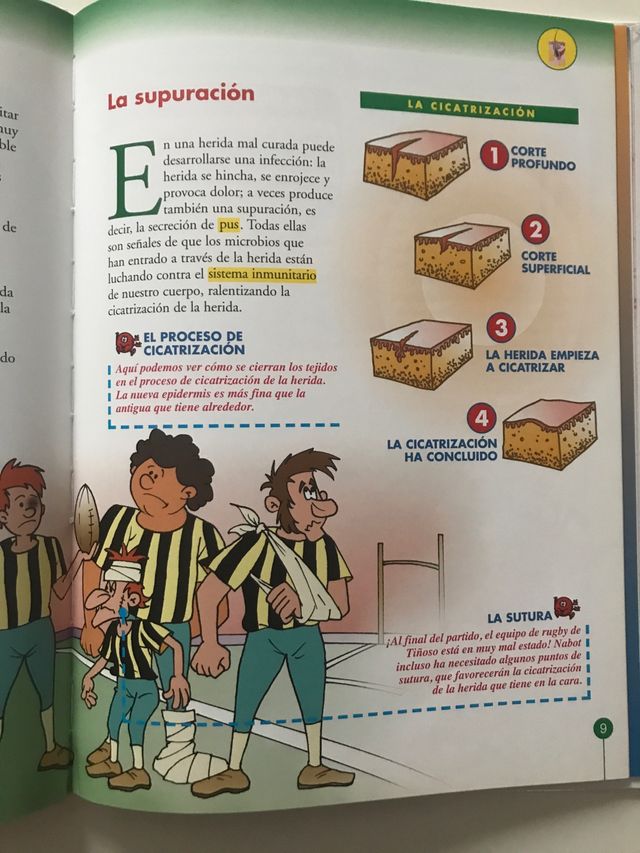 Érase una vez el cuerpo humano