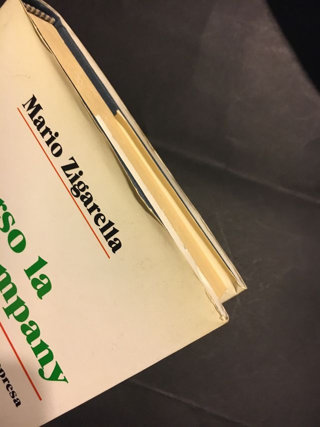 Verso la public company