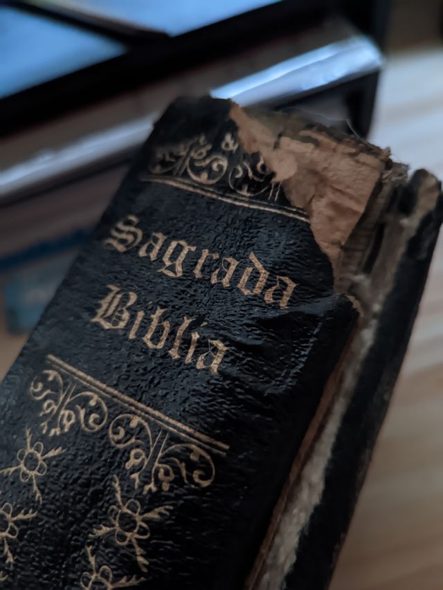 Sagrada Biblia